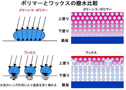 ポリマーとワックスの撥水比較